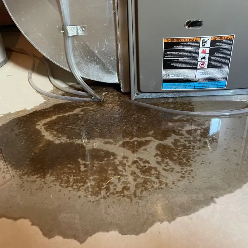 Pipe Burst and Leak Restoration in Mountain View Acres, CA