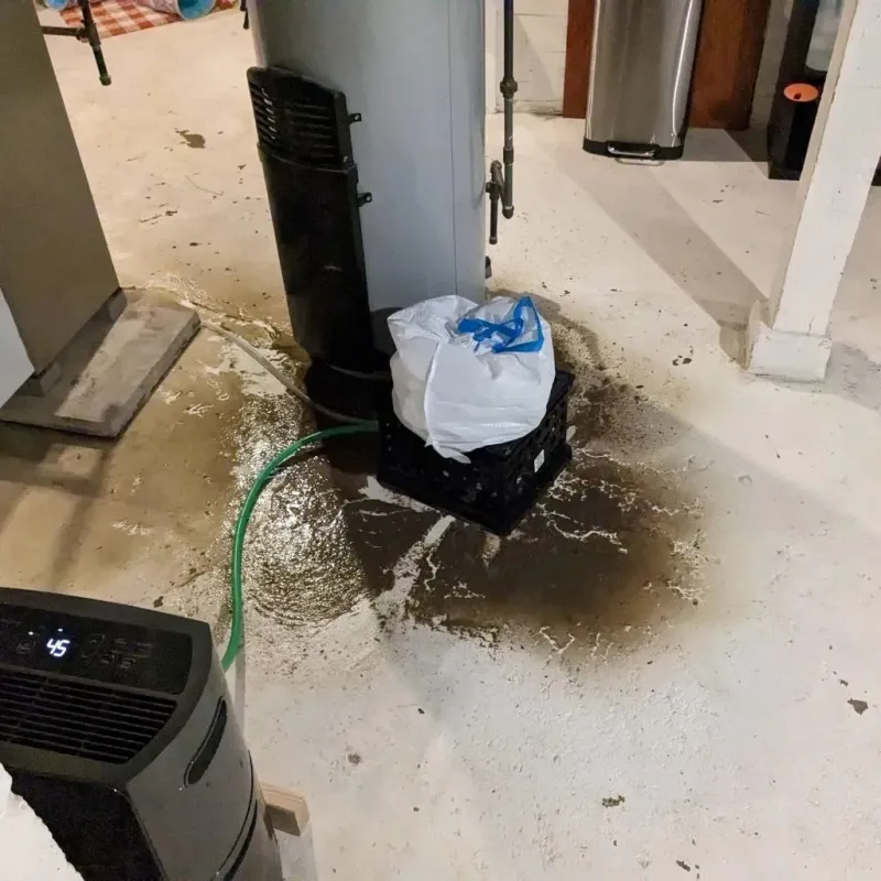 Sewage Backup Cleanup Service in Mountain View Acres, CA